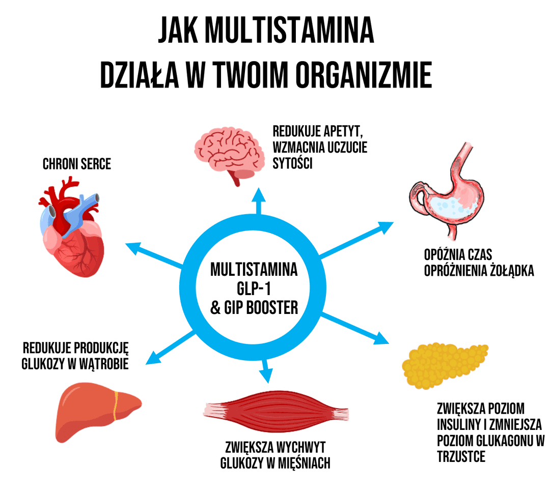 Jak działa Multistamina